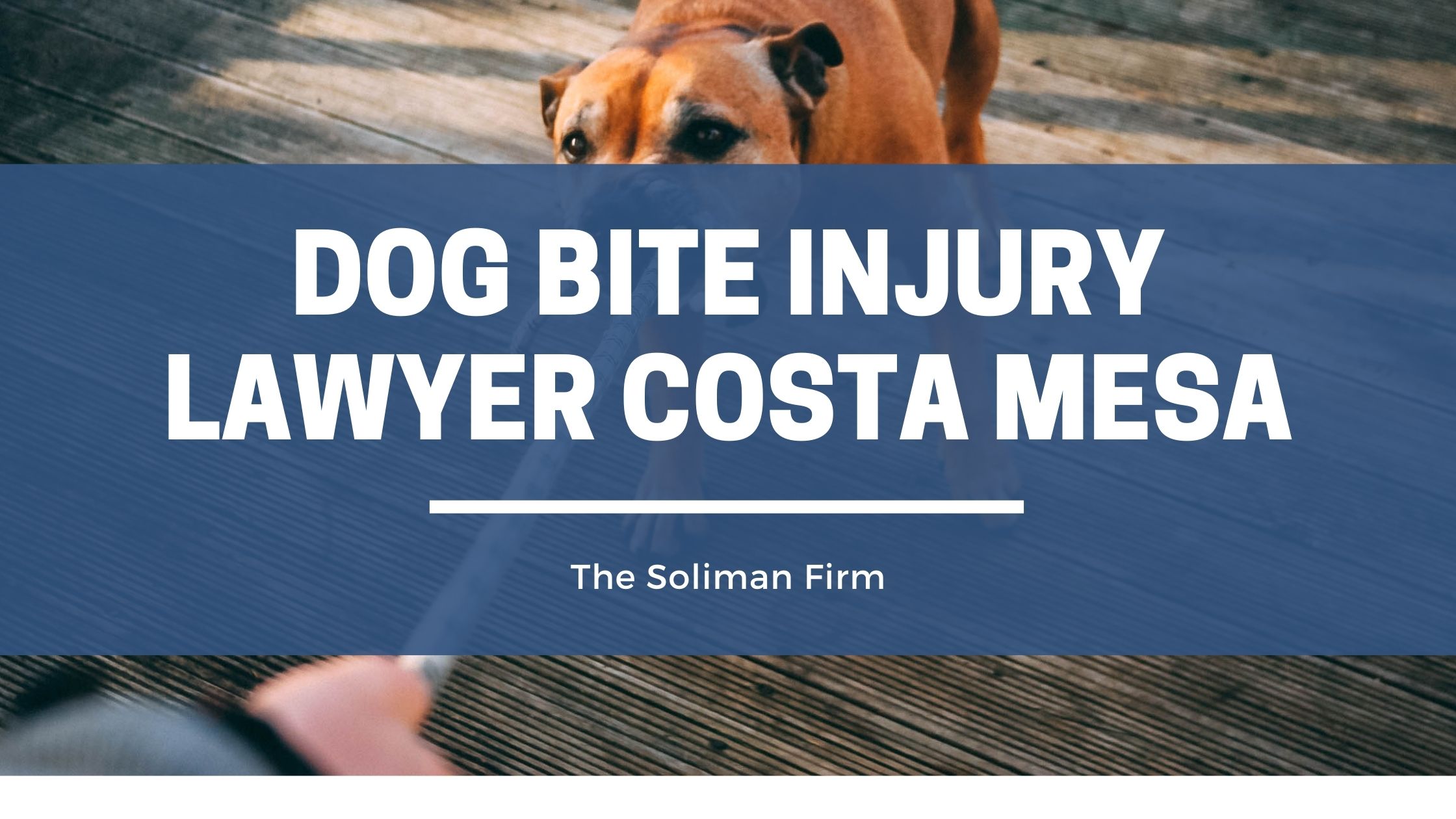Dog Bite Injury Lawyer Costa Mesa, CA
