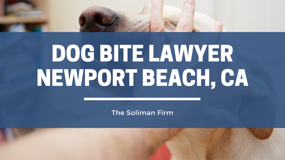 Dog Bite Lawyer Newport Beach, CA